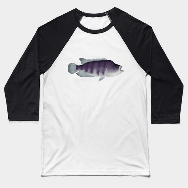 Wolf Cichlid Baseball T-Shirt by FishFolkArt